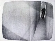Брюс Науман та його пошуки (взаємо)розуміння - Що треба знати - Мистецтво пошуки