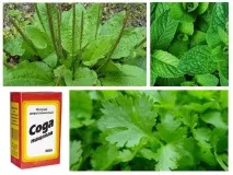 Що робити, якщо мошка вкусила в око або повіку якщо