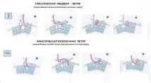 язання