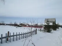 полуниці