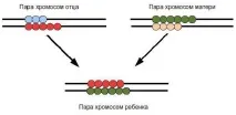 хвороби