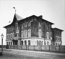 Дитячі притулки та Гулевичі притулку