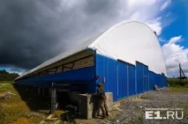 Для поціновувачів у Свердловській області налагодять випуск мармурового м’яса по 2 000 рублів за кілограм. налагодять