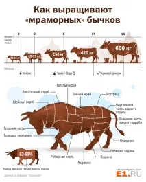 Для поціновувачів у Свердловській області налагодять випуск мармурового м’яса по 2 000 рублів за кілограм. свердловській