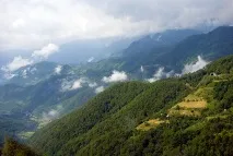 парку