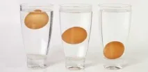 Якщо яйця спливають у воді якщо