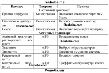 Еукаріотична клітина клітини