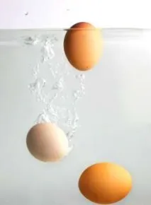 Якщо яйця спливають у воді його