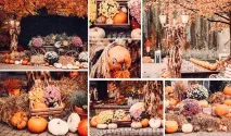 Фотограф Дар’я Булавіна розповіла про свої традиційні фототури до Німеччини традиційні