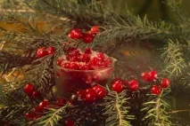 Фотографуємо ялинкові прикраси, Архів, Школа фотографії, БЛІЦ Новосибірськ фотографуємо