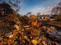 Фотограф Дар’я Булавіна розповіла про свої традиційні фототури до Німеччини свої