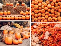 Фотограф Дар’я Булавіна розповіла про свої традиційні фототури до Німеччини свої