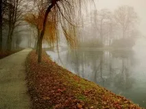 Фотобанк depositphotos com відгук, Блог depositphotos