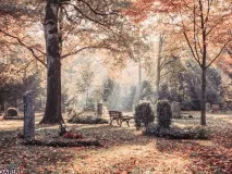 Фотограф Дар’я Булавіна розповіла про свої традиційні фототури до Німеччини традиційні