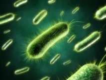 Фуразолідон (Furazolidonum) опис препарату інструкція із застосування, ціна, показання, інструкція