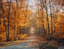 Фотограф Дар’я Булавіна розповіла про свої традиційні фототури до Німеччини фототури