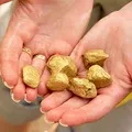 Гном - пошук слів за маскою та визначенням, відповіді на сканворди слів