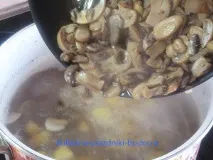 Грибний суп гриби