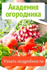 догляд