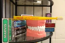 dental