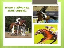 Інформаційно-пізнавальна вікторина з ЗОЖ та профілактики ВІЛ-інфекції - позаурочна робота, інформаційно-пізнавальна