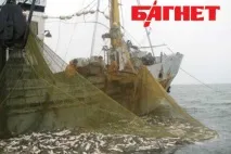 видів