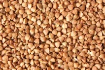 Як готується куряча грудка з гречкою грудка