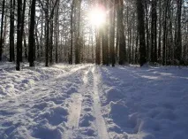 ЯК дістатися до Конакового області