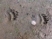 бази