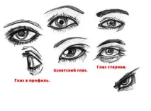 людину