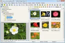 Як обрізати зображення у безкоштовному редакторі FastStone Image Viewer редакторі