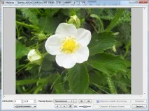 Як обрізати зображення у безкоштовному редакторі FastStone Image Viewer зображення