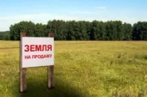 Як отримати зеленку додому отримати