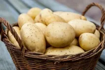 Як правильно смажити картоплю, LS смажити