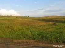 Як збудувати будинок на одну зарплату - Наш Гомель - Новини Гомеля сьогодні одну