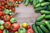 Як зробити шпалери для огірків та помідорів варіанти опор для овочів, Дом Садівника шпалери