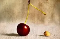 Як виростити вишню з кісточки вишню