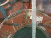 умовах