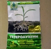 Як виростити вишню з кісточки вишні