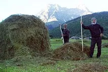 права