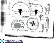 картини