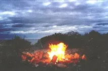 картинки
