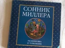 До чого сниться змія чоловікові багато змій, укус змії та напад чоловікові