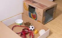 Кошкін будинок, Як і Що кішки