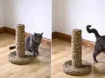 Кошкін будинок, Як і Що кішки