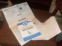 Кішка в поїзді Не проблема, домашні вихованці кішка
