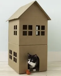 Кошкін будинок, Як і Що будинок