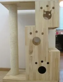 Кошкін будинок, Як і Що будинок