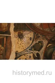 Королівський шпиталь Бетлем шпиталь