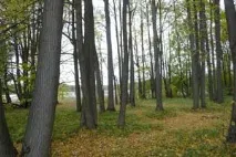 Котеджне селище ОЛІМП Каширське шосе – будинки котеджі продаж олімп